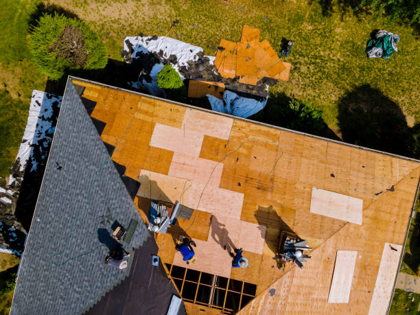 Slate Roofing Contractor in Newbern, TN