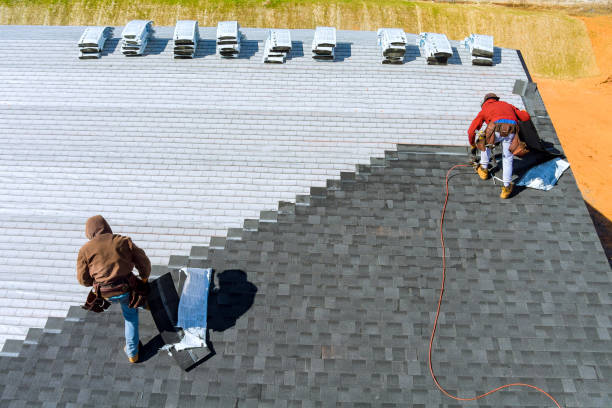 Best Commercial Roof Installation  in Newbern, TN